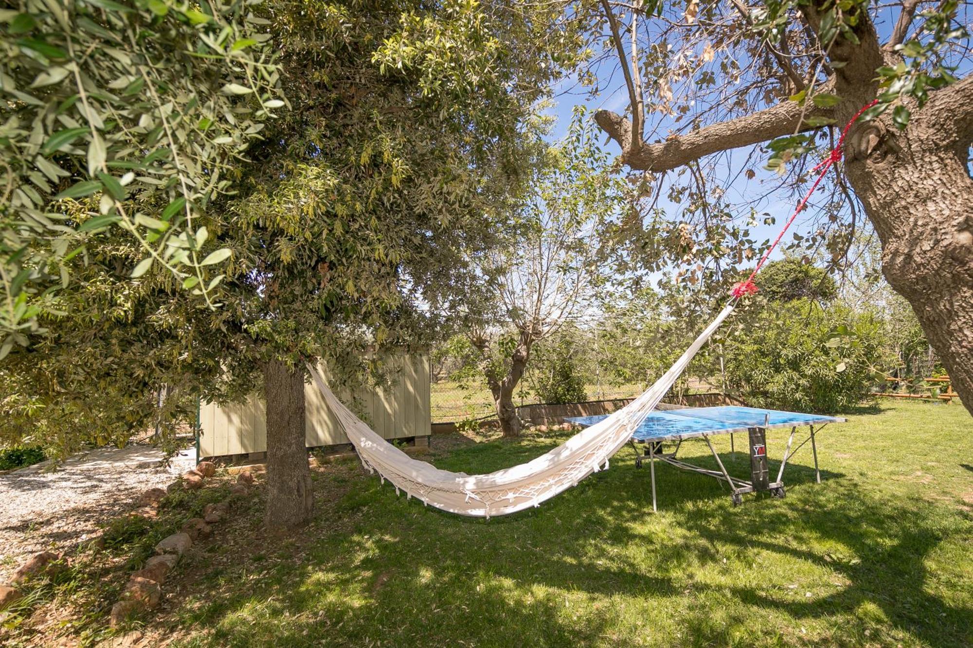סן וינצ'נזו Casa Rurale מראה חיצוני תמונה