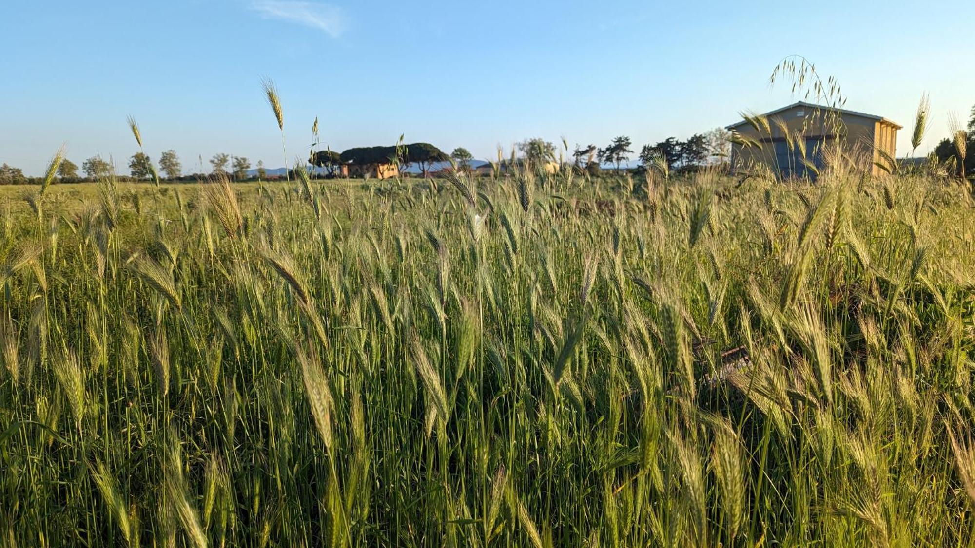 סן וינצ'נזו Casa Rurale מראה חיצוני תמונה